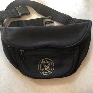 HOST PICK - Falchi Sport fanny pack